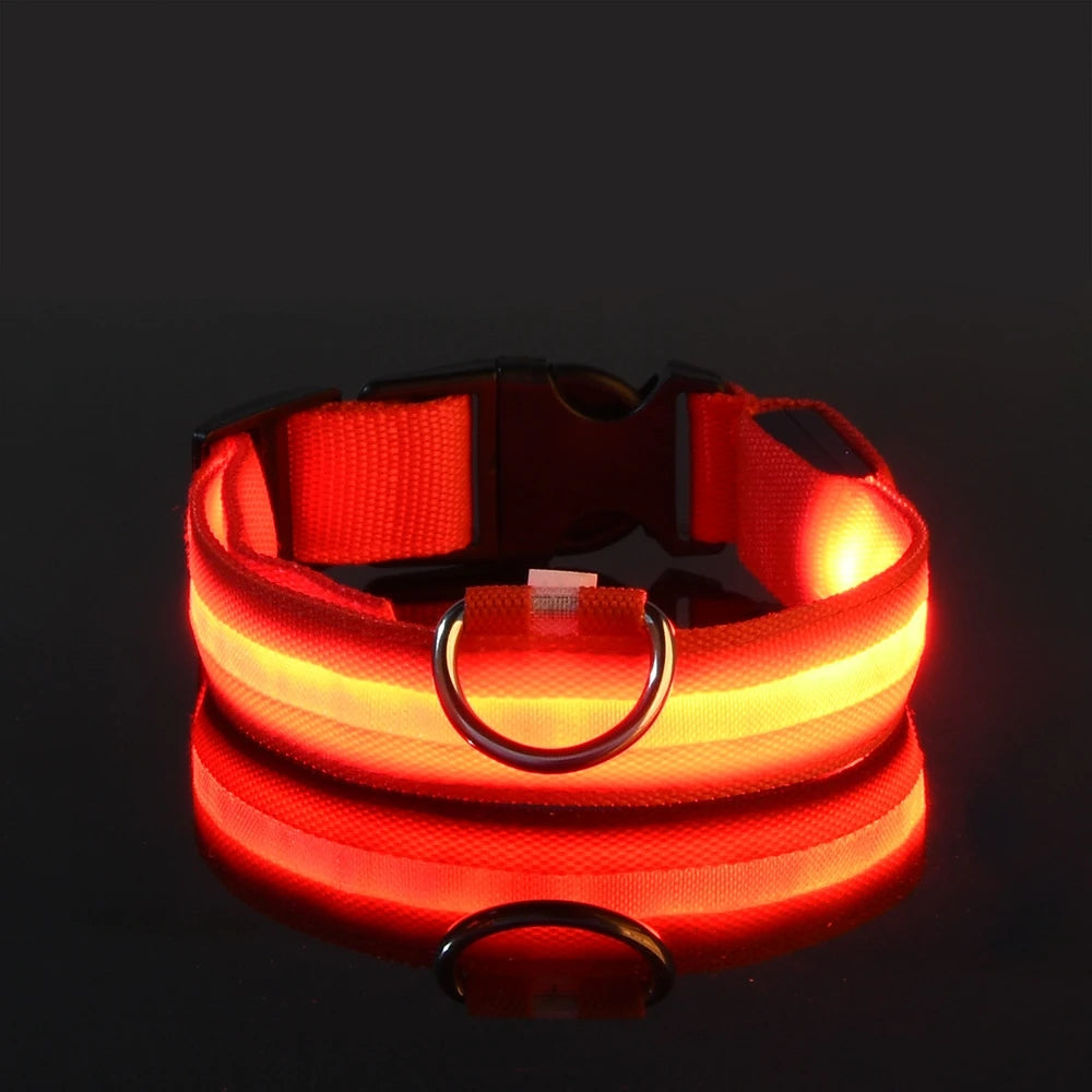 LED-Halsband för Hund – Lysande Nylonhalsband med 4 Ljuslägen