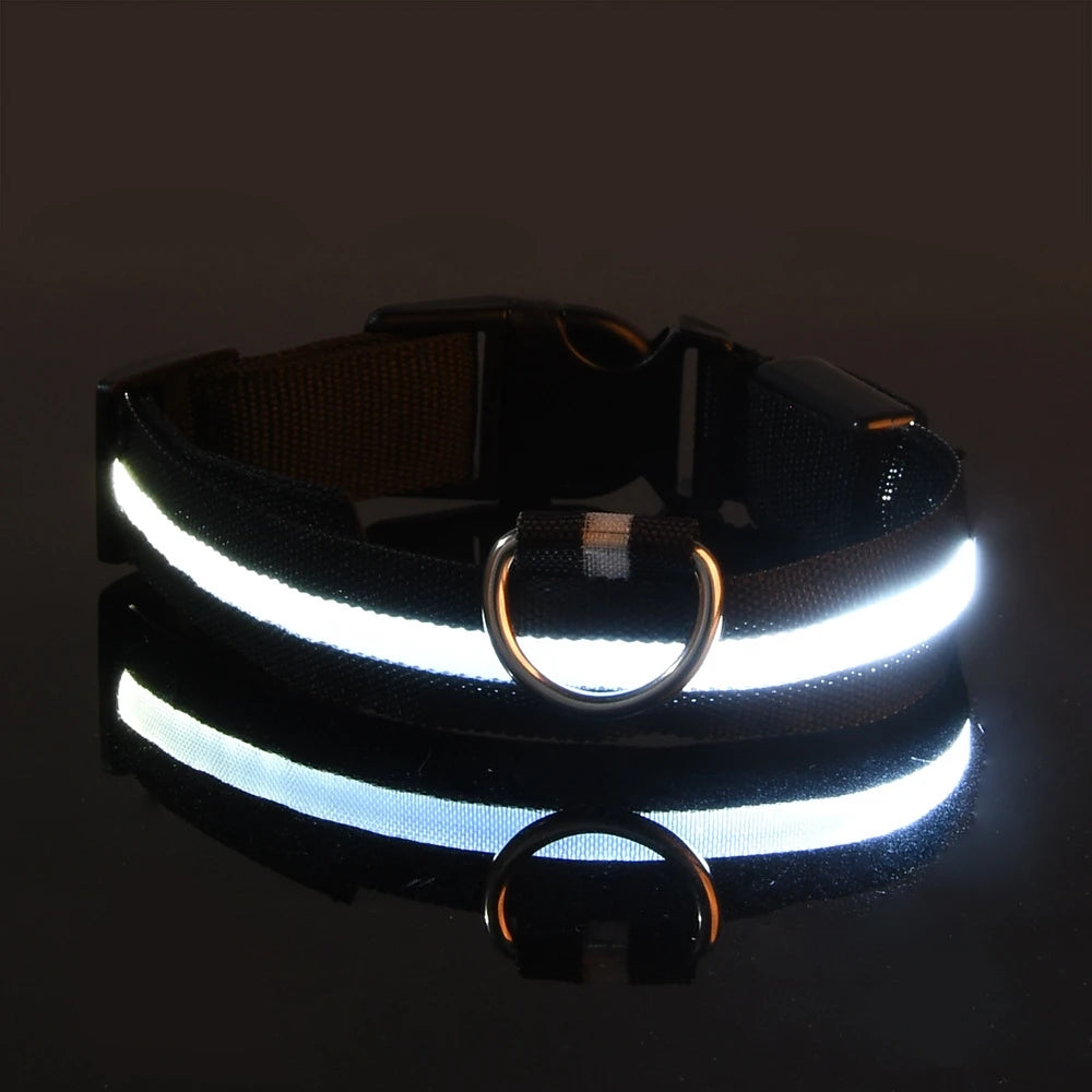 LED-Halsband för Hund – Lysande Nylonhalsband med 4 Ljuslägen