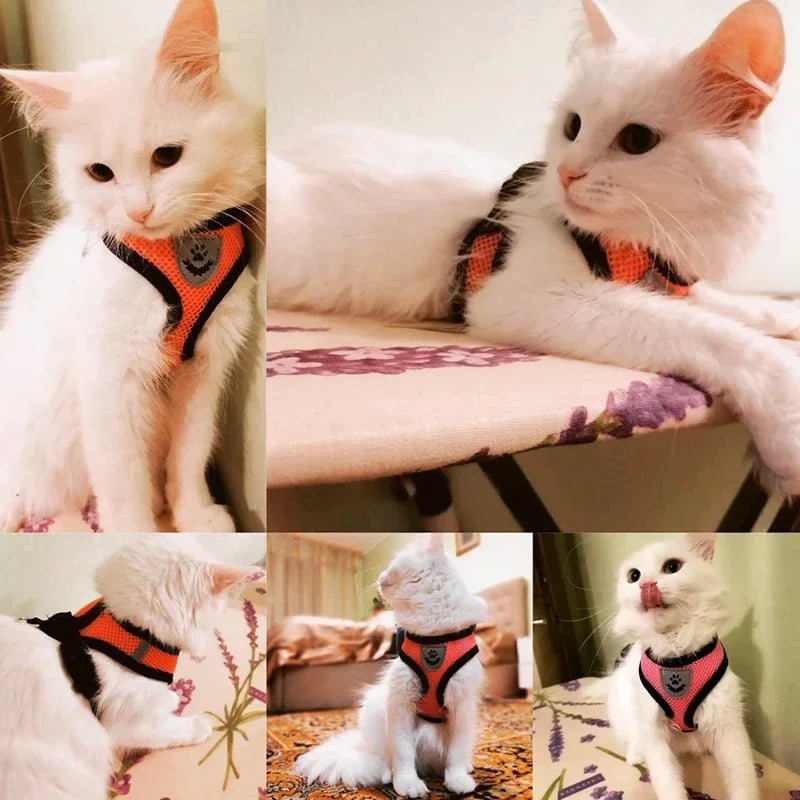 Mjuk Sele för Katt & Liten Hund – Andningsbar med Koppel