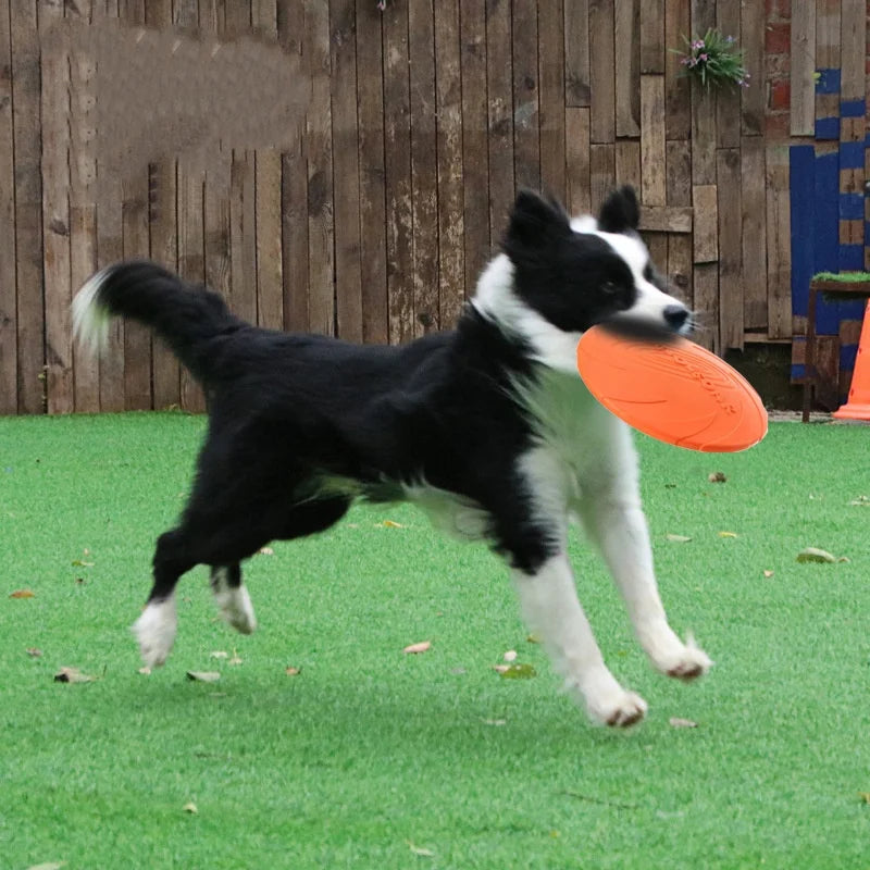Silikonfrisbee för Hund – Mjuk & Tålig Kastleksak för Utomhuslek
