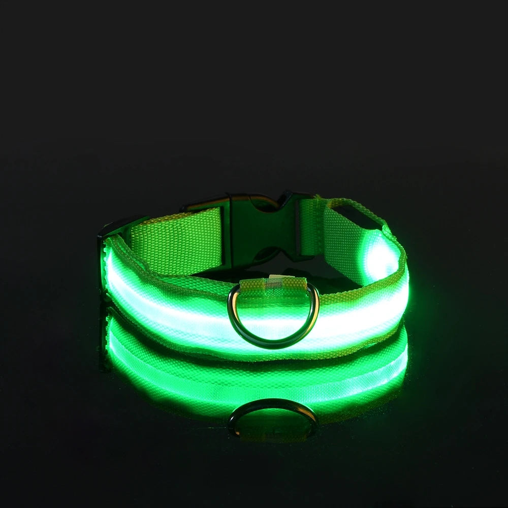 LED-Halsband för Hund – Lysande Nylonhalsband med 4 Ljuslägen