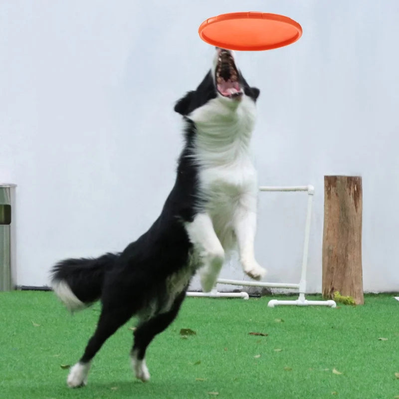 Silikonfrisbee för Hund – Mjuk & Tålig Kastleksak för Utomhuslek