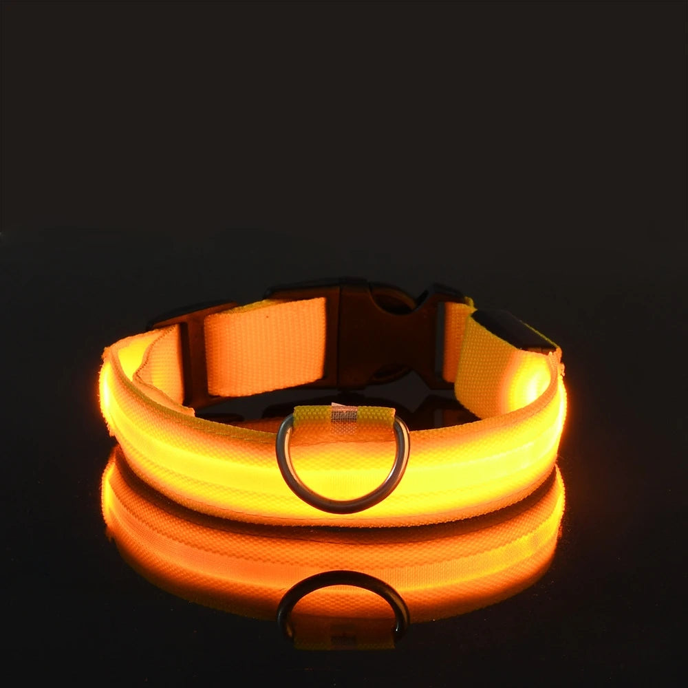 LED-Halsband för Hund – Lysande Nylonhalsband med 4 Ljuslägen