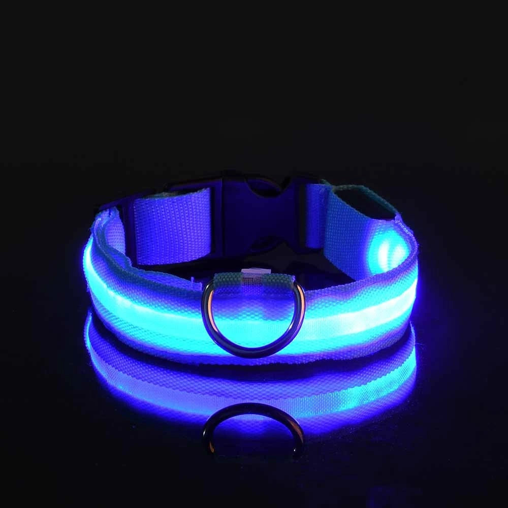 LED-Halsband för Hund – Lysande Nylonhalsband med 4 Ljuslägen