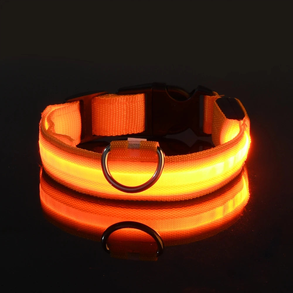 LED-Halsband för Hund – Lysande Nylonhalsband med 4 Ljuslägen