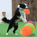 Silikonfrisbee för Hund – Mjuk & Tålig Kastleksak för Utomhuslek