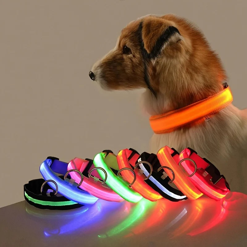 LED-Halsband för Hund – Lysande Nylonhalsband med 4 Ljuslägen
