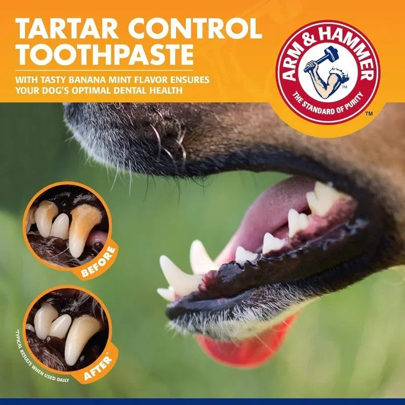 Tandvårdskit för Hund – Tandborste & Tandkräm