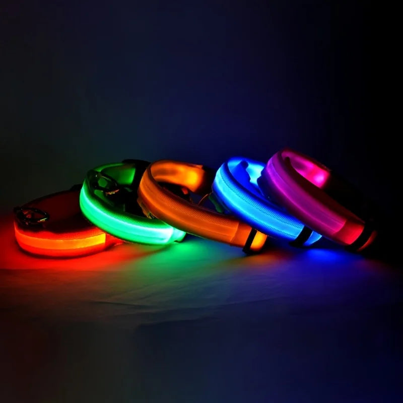 LED-Halsband för Hund – Lysande Nylonhalsband med 4 Ljuslägen