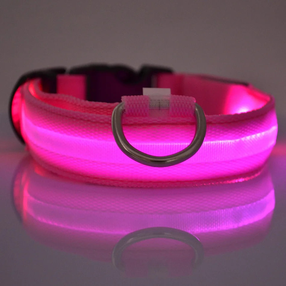 LED-Halsband för Hund – Lysande Nylonhalsband med 4 Ljuslägen
