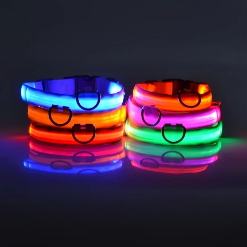 LED-Halsband för Hund – Lysande Nylonhalsband med 4 Ljuslägen
