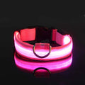 LED-Halsband för Hund – Lysande Nylonhalsband med 4 Ljuslägen