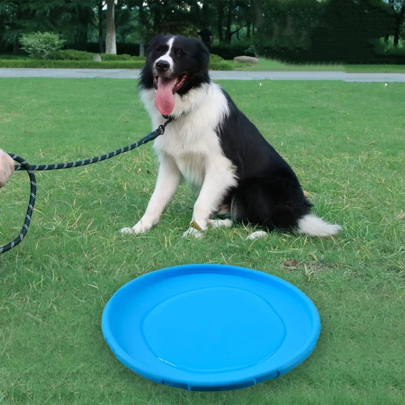 Silikonfrisbee för Hund – Mjuk & Tålig Kastleksak för Utomhuslek