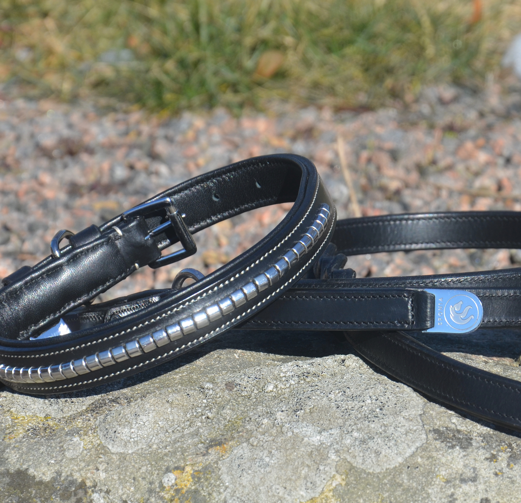 Premium dog collar in natural tanned leather