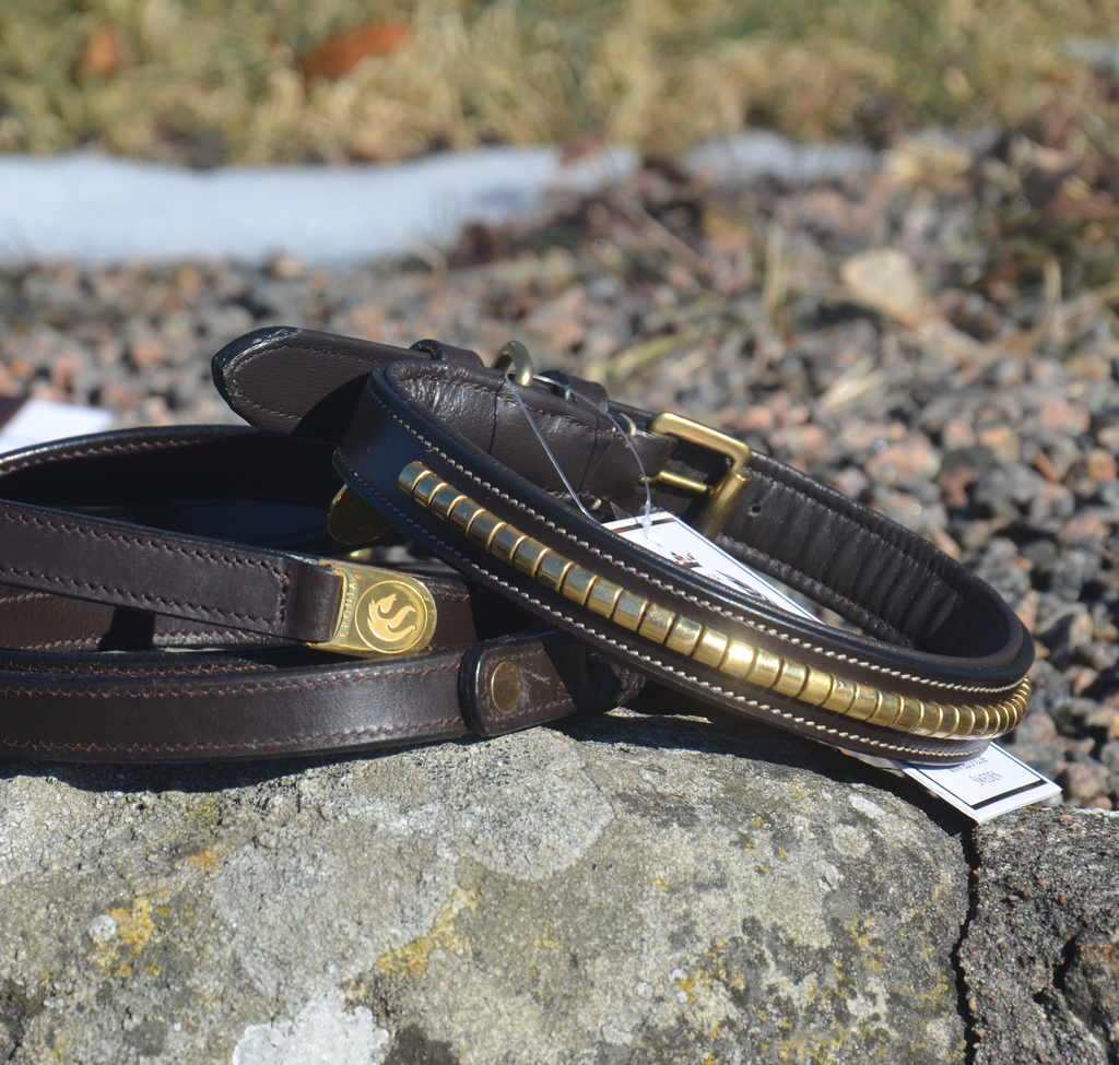 Premium dog collar in natural tanned leather