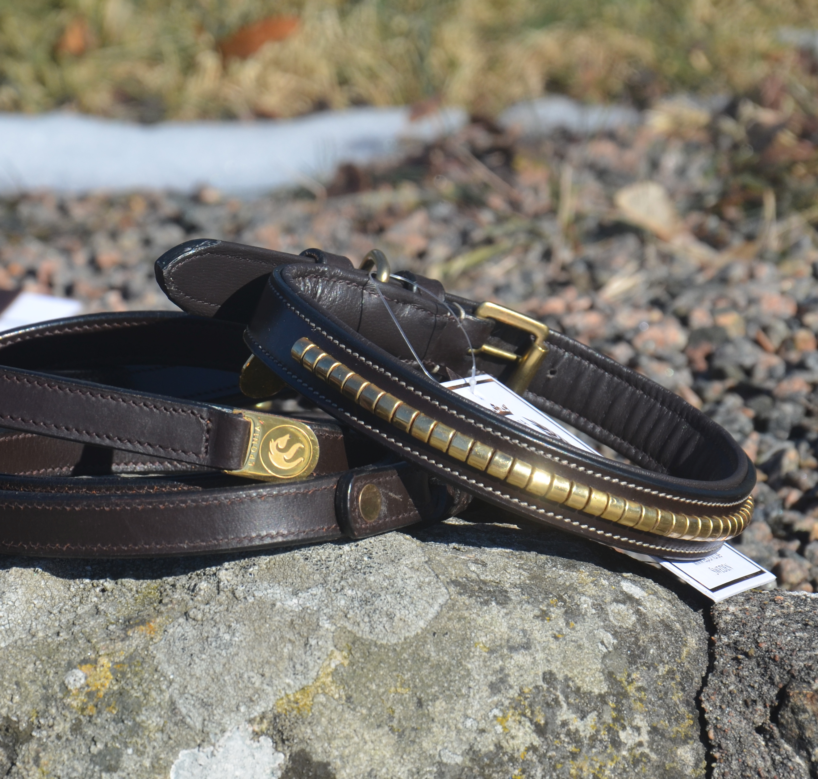Premium dog collar in natural tanned leather
