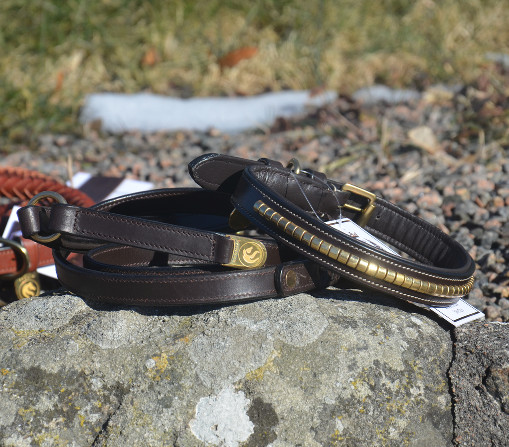 Premium dog collar in natural tanned leather