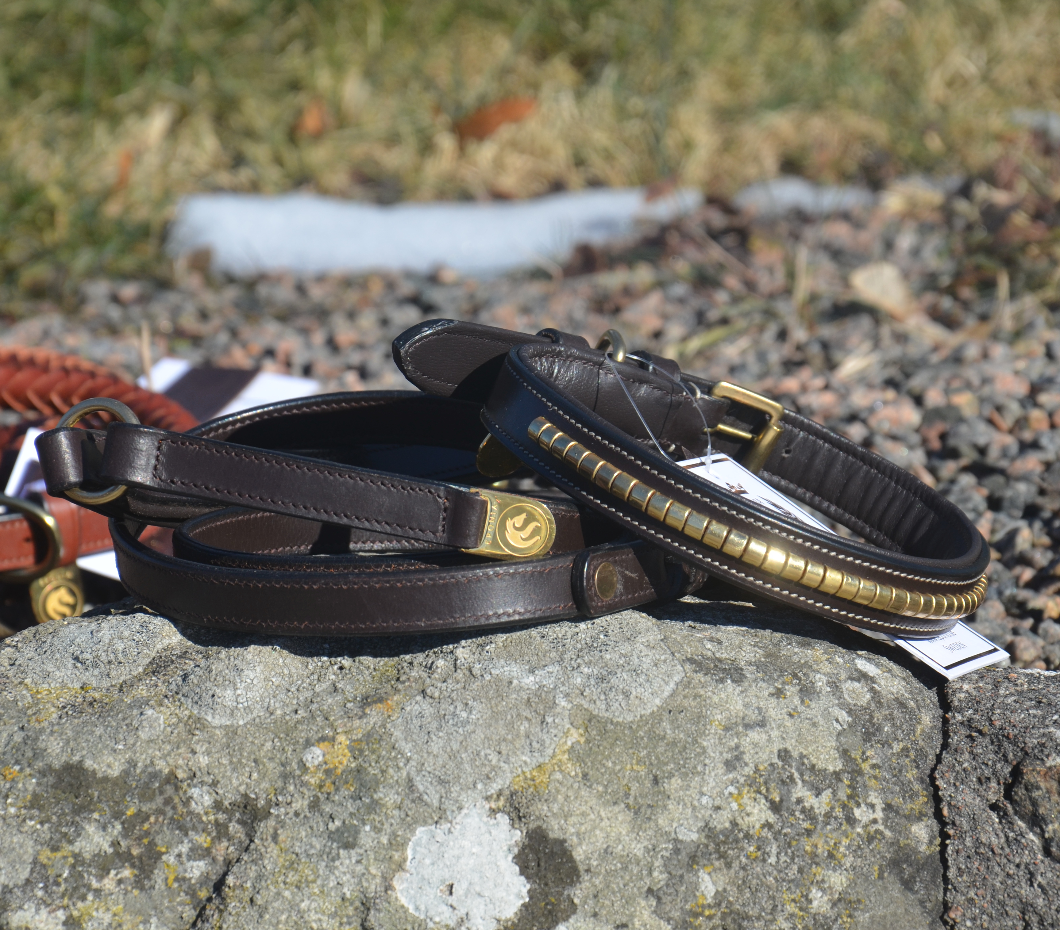 Premium dog collar in natural tanned leather